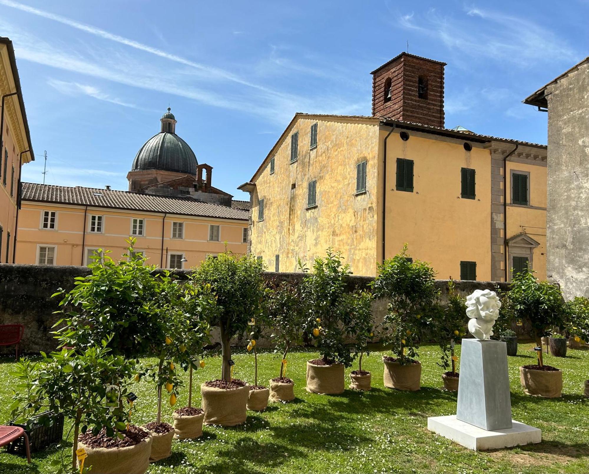 Art Hotel Pietrasanta Exteriér fotografie